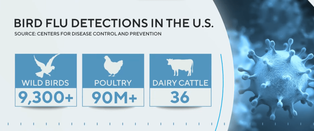 bird flu detections in the U.S.