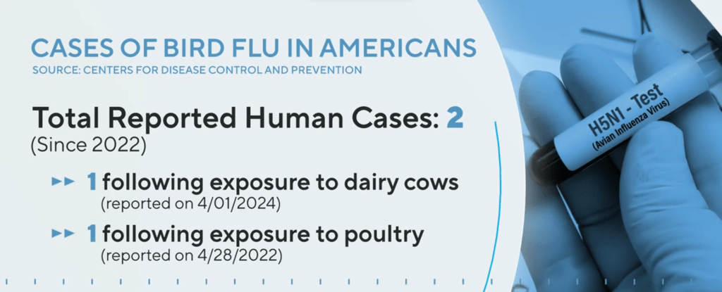 cases of bird flu in americans