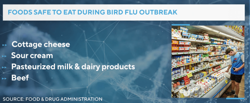 Food safe to eat during bird flu outbreak