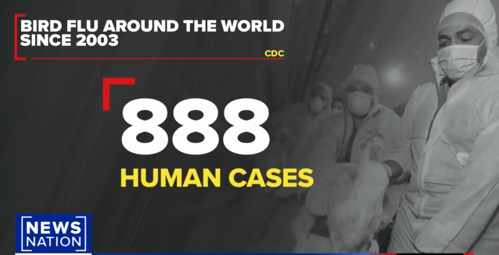 Bird flu virus human cases since 2003 around the world