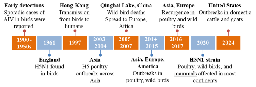 Timeline of H5N1 Strain Development (1900-2024)